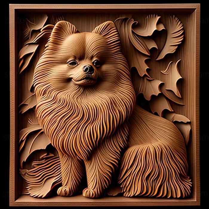 3D model Pomeranian dog (STL)